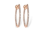 14KT Gold Earrings