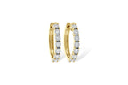 14KT Gold Earrings
